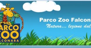 parco zoo falconara