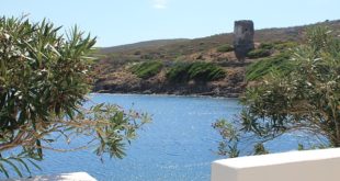 isola dell'asinara